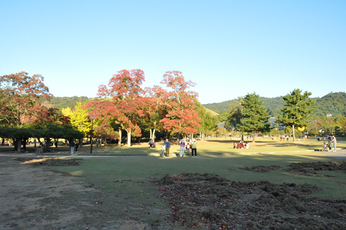 奈良公園